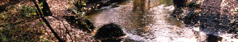 Wasserrahmenrichtlinie